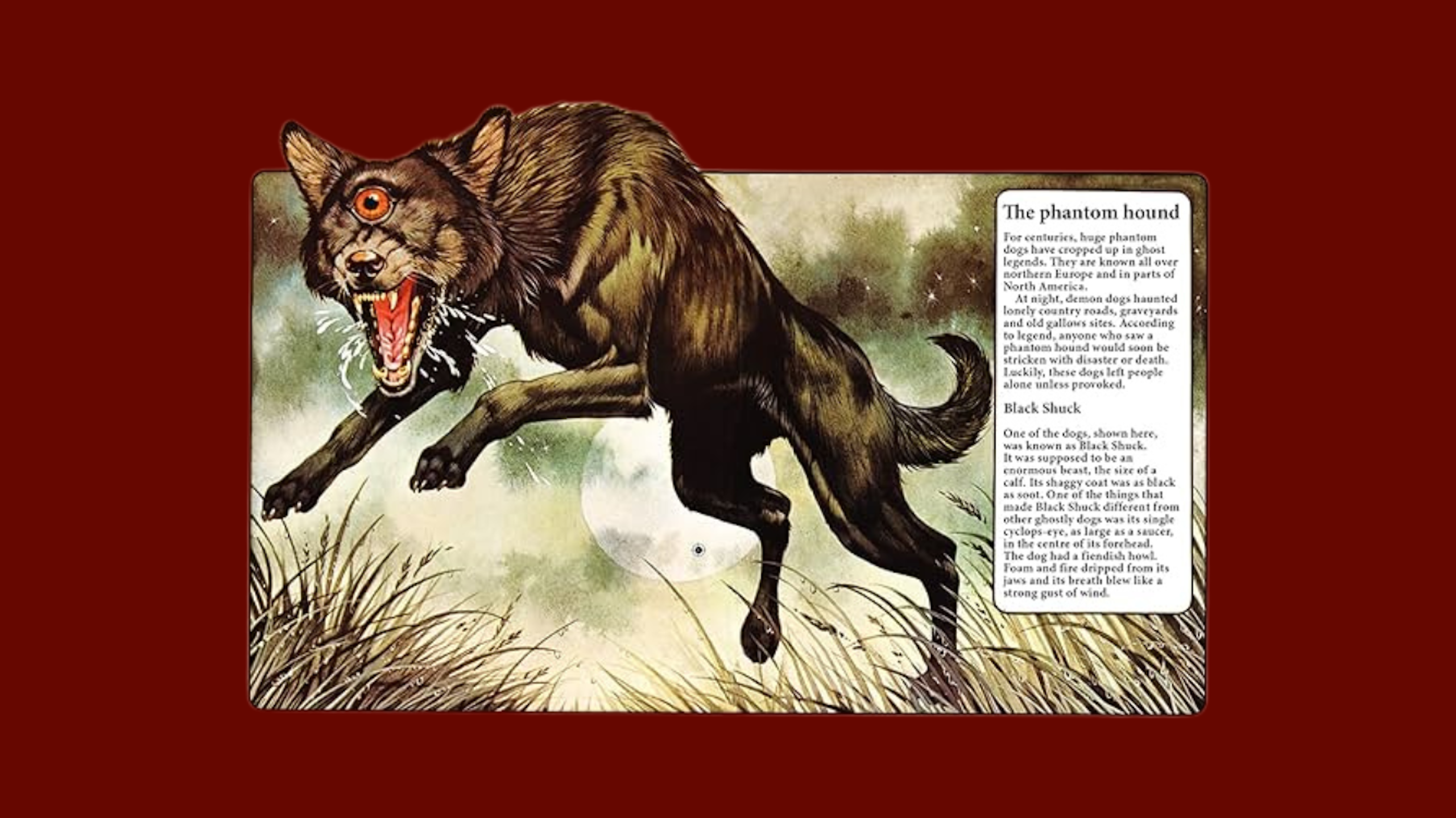 Black one-eyed hound ghost