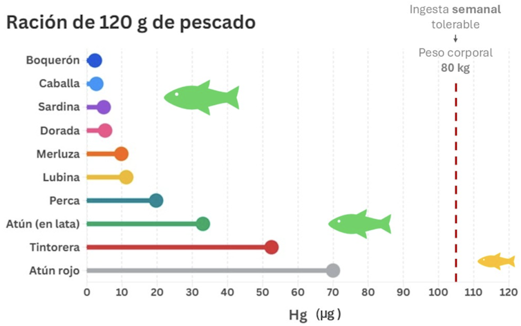 The a large number of well being advantages that fish provides us at low local weather prices 1 file 20251028 56 1n5nmu.png?ixlib=rb 4.1