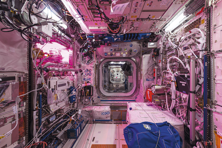 A module of a space station. It has white plastic walls, but the light is pinkish-purple from a plant habitat on one side. The space is cluttered with cables and equipment. Other modules are visible through the hatch at the far end.