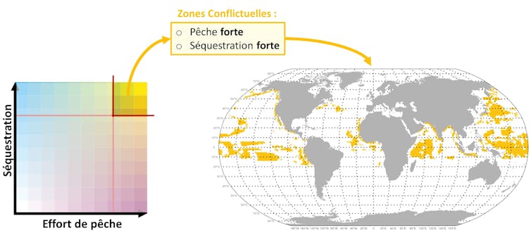 Oceans: fish, an invisible carbon sink threatened by means of fishing and local weather trade 1 file 20251029 56 c9fbfq.jpg?ixlib=rb 4.1
