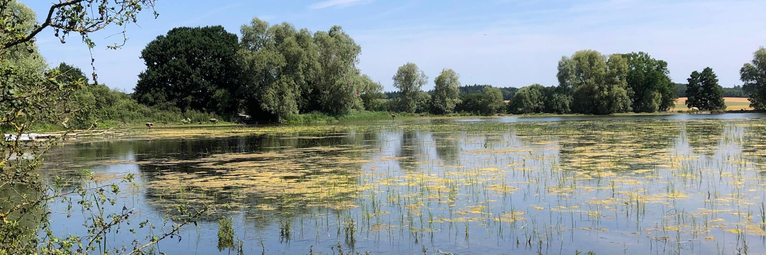 Les fantômes des pesticides hantent nos environnements pour longtemps