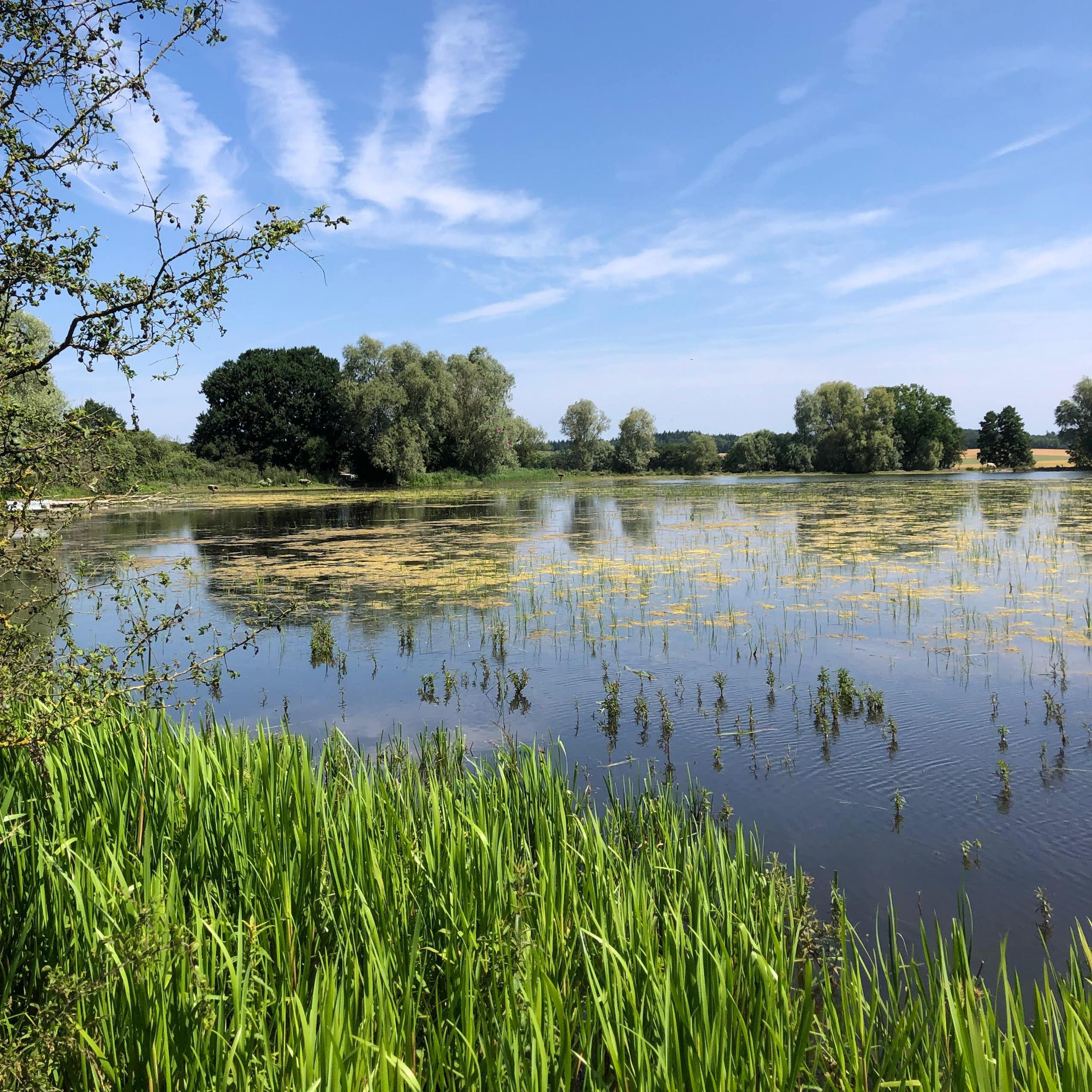 Les fantômes des pesticides hantent nos environnements pour longtemps