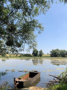 The ghosts of insecticides will hang-out our surroundings for a very long time 2 file 20251029 56 zrwhsr.jpg?ixlib=rb 4.1