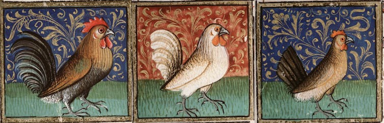 Three panels with illustrated birds – one brown, one white, and one tan – standing on grass, with ornate patterned backgrounds behind them.