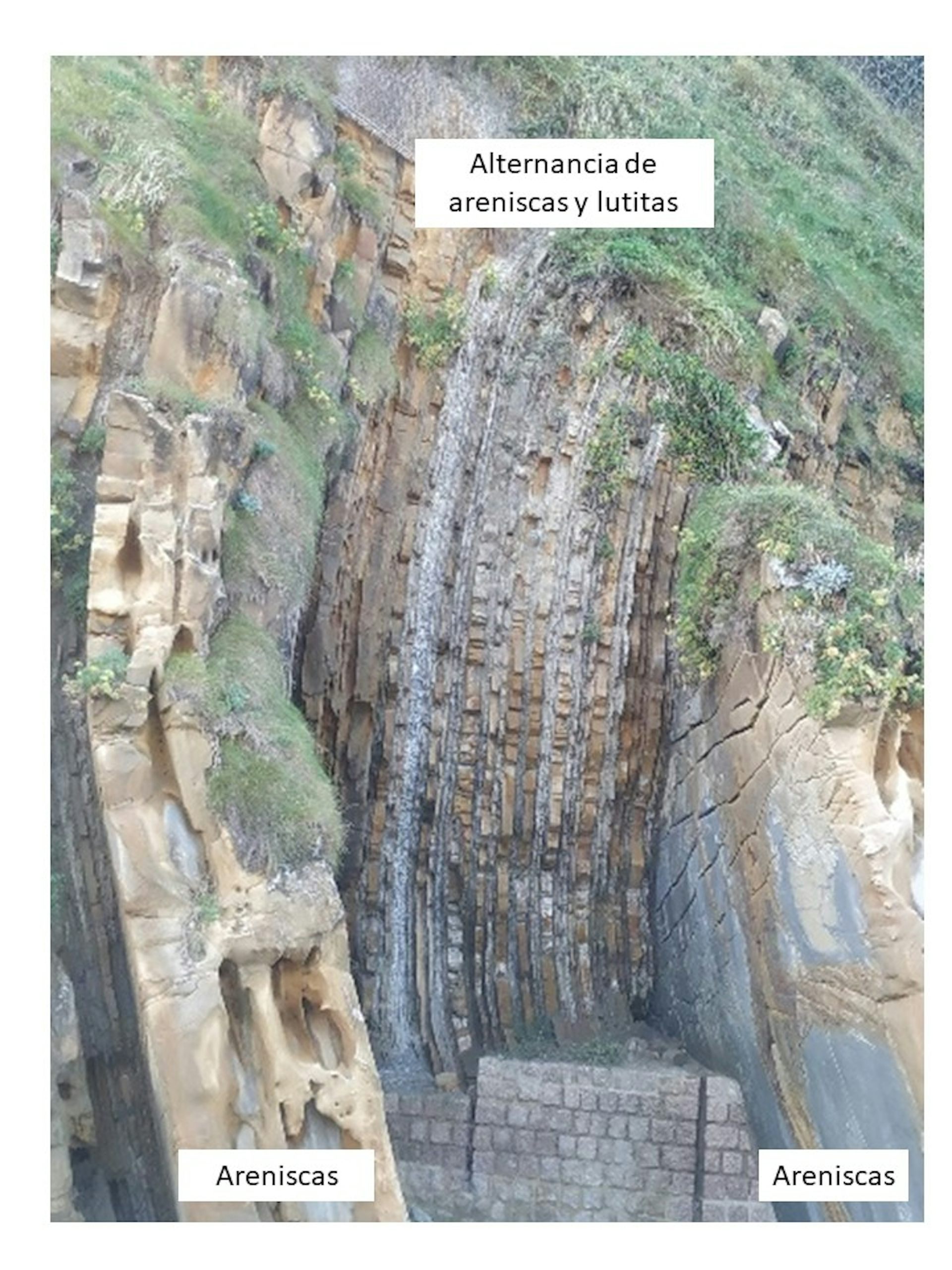 file 20251029 66 7czbu5.JPG?ixlib=rb 4.1