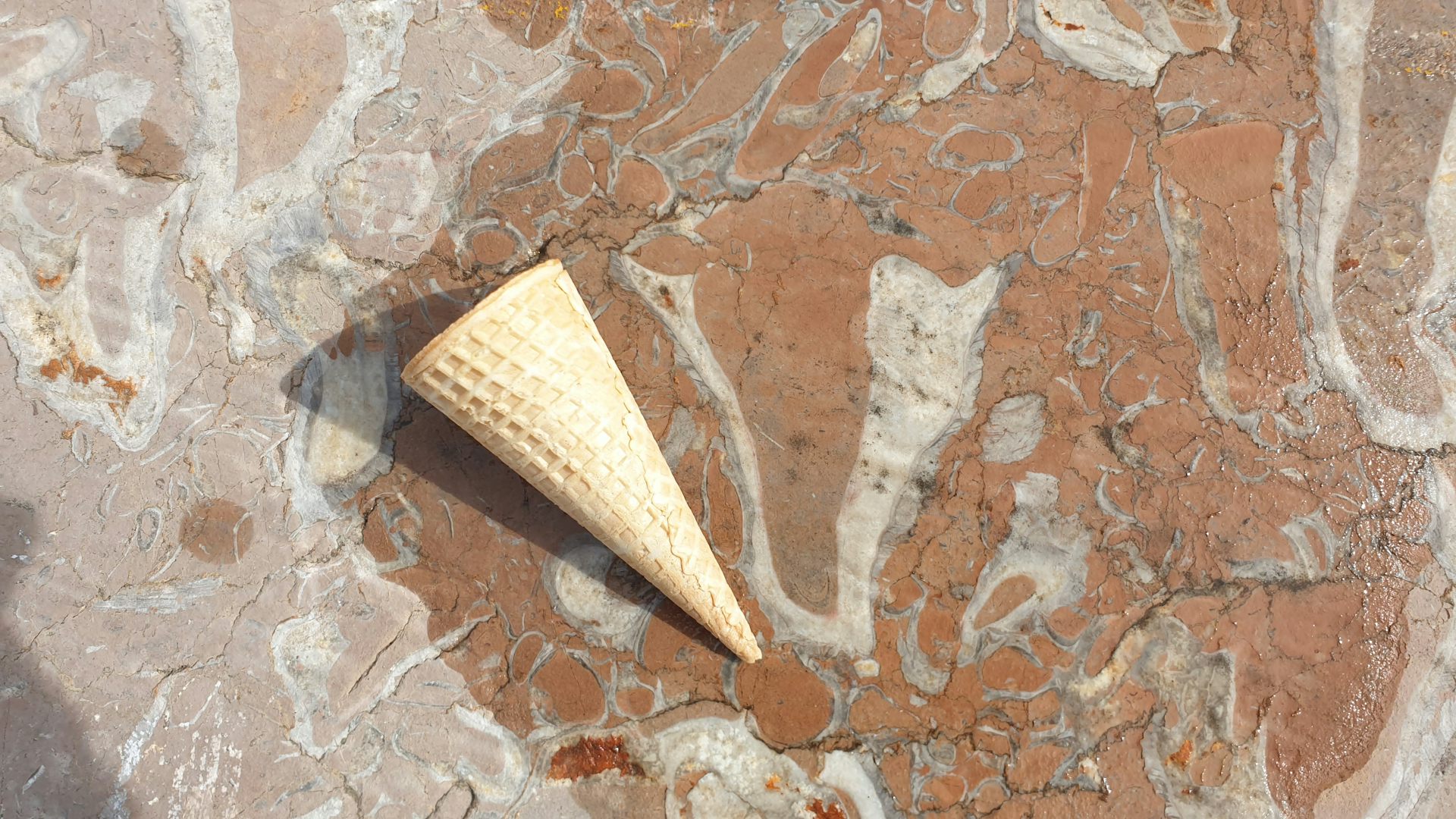 file 20251029 76 he72vf.jpg?ixlib=rb 4.1