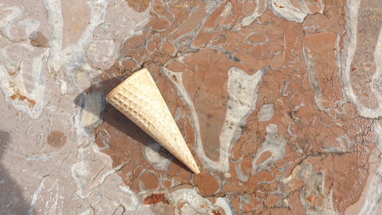 How are we able to know the historical past of the Earth? 3 file 20251029 76 he72vf.jpg?ixlib=rb 4.1