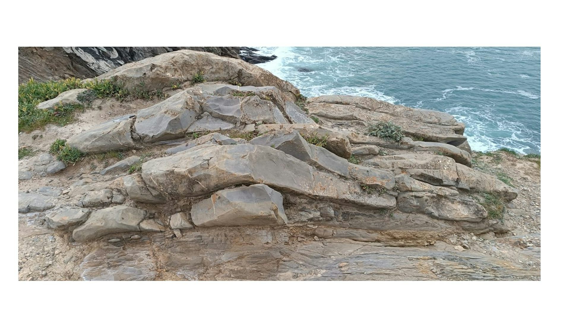 file 20251029 56 968y4d.jpg?ixlib=rb 4.1