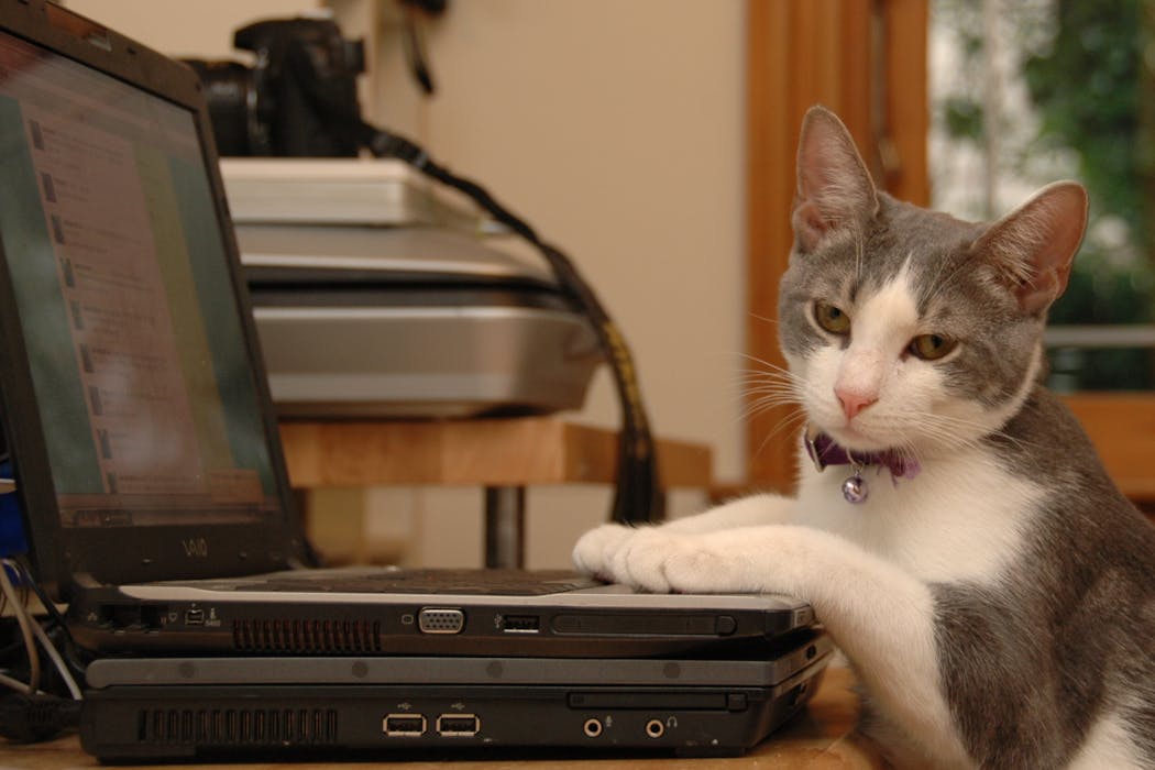 How we can each fight cybercrime with smarter habits