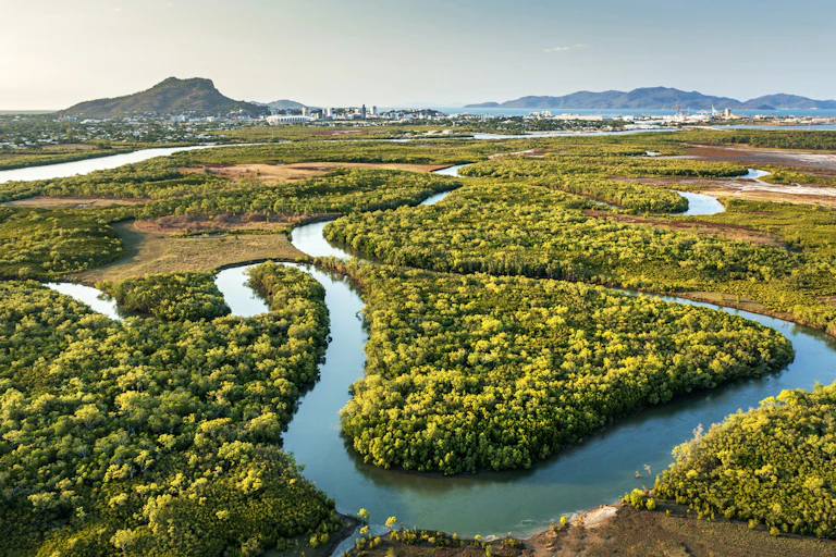 mangroves and river in foreground, town in the background.