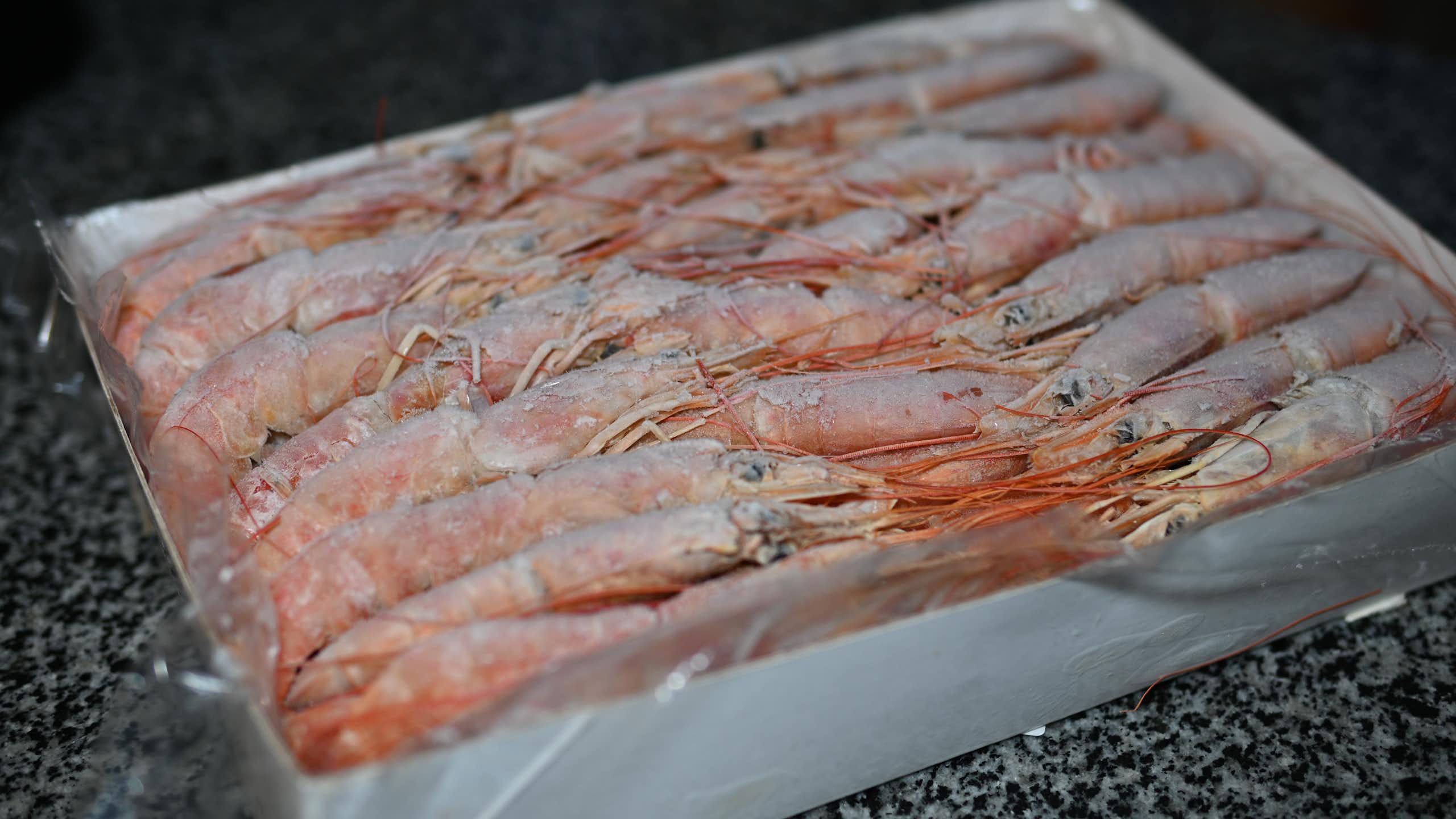 Kasus udang Cikande dan alarm waspada paparan radiasi dari logam bekas