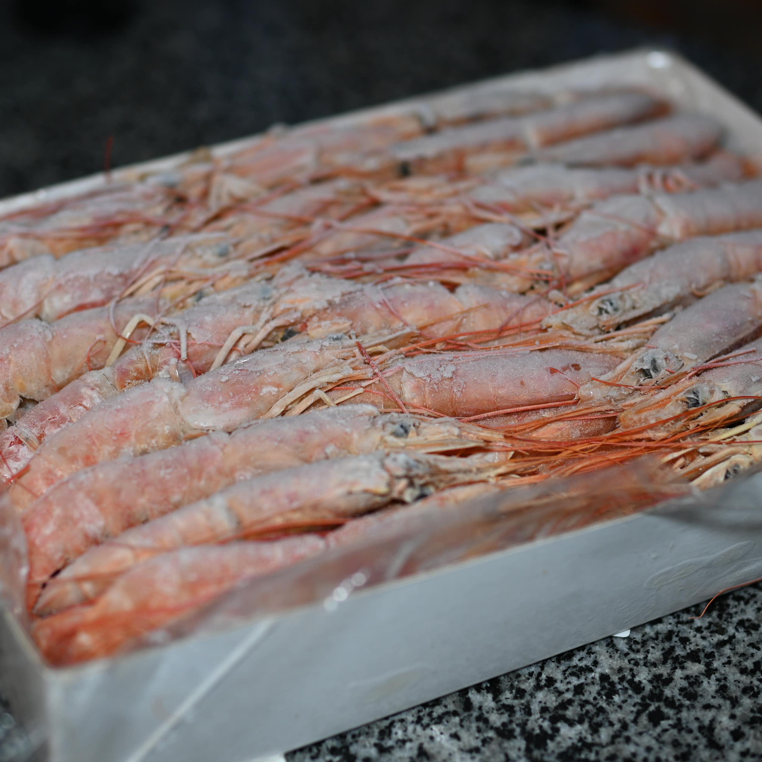 Kasus udang Cikande dan alarm waspada paparan radiasi dari logam bekas