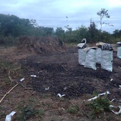 An area of land that is brown earth only with forest surrounding it - the area has been cleared of trees which are now in several white bags