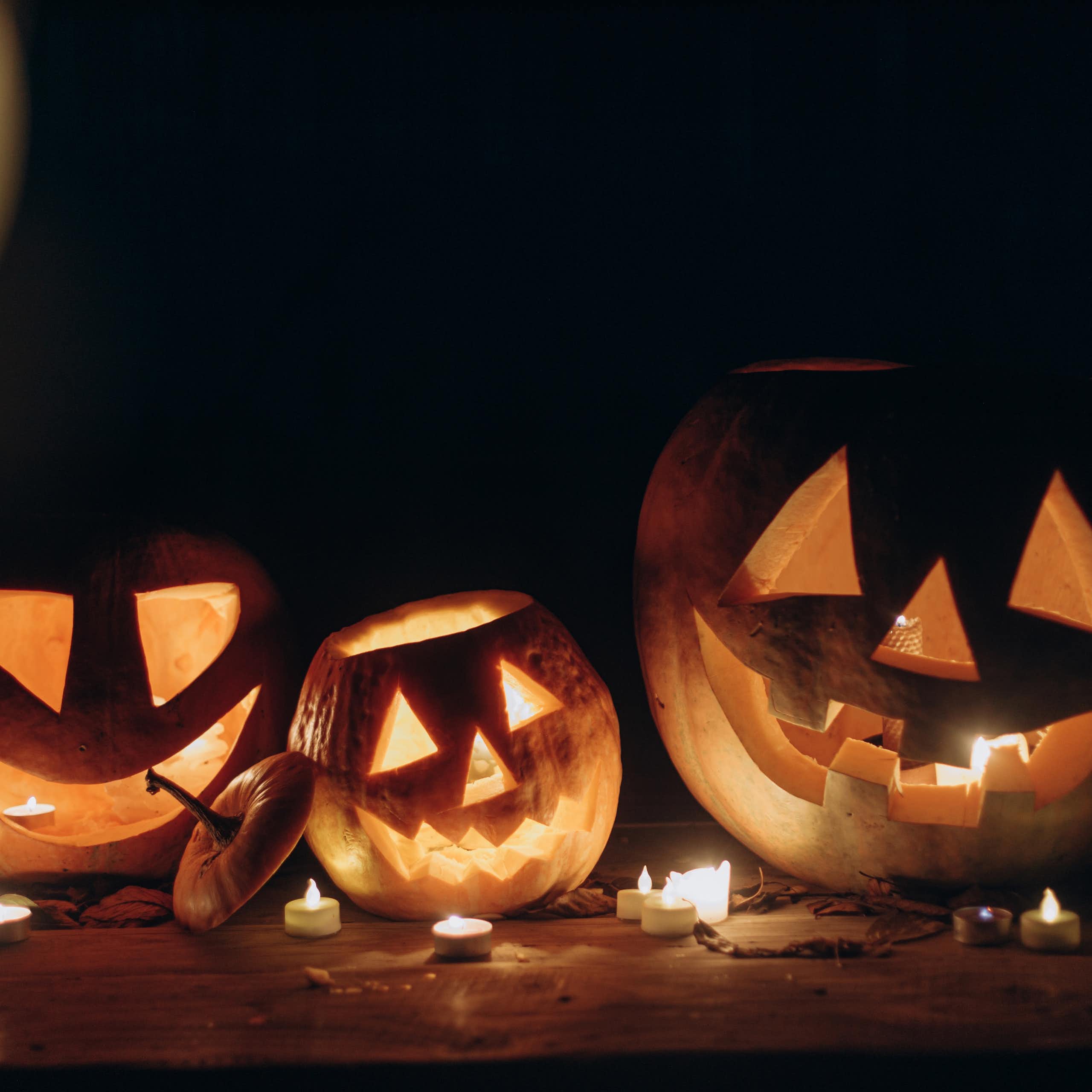 Un microbio dio origen a la tradición de tallar calabazas en Halloween