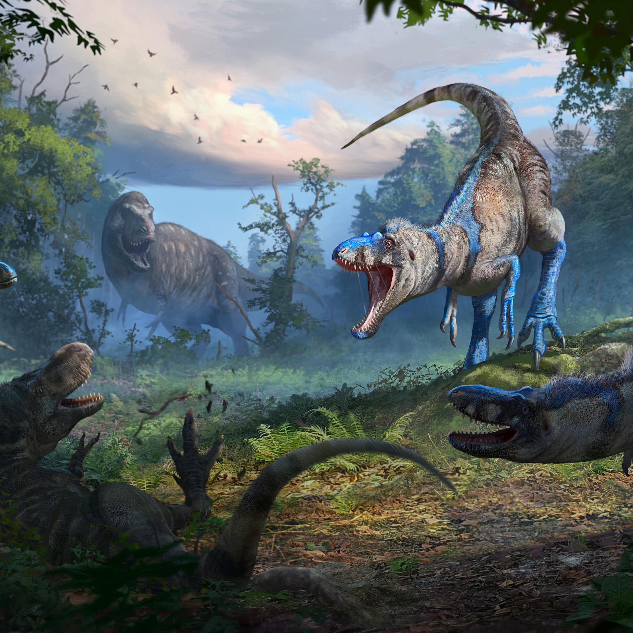 Illustration of pack of Nanotyrannus attacking a juvenile T. rex