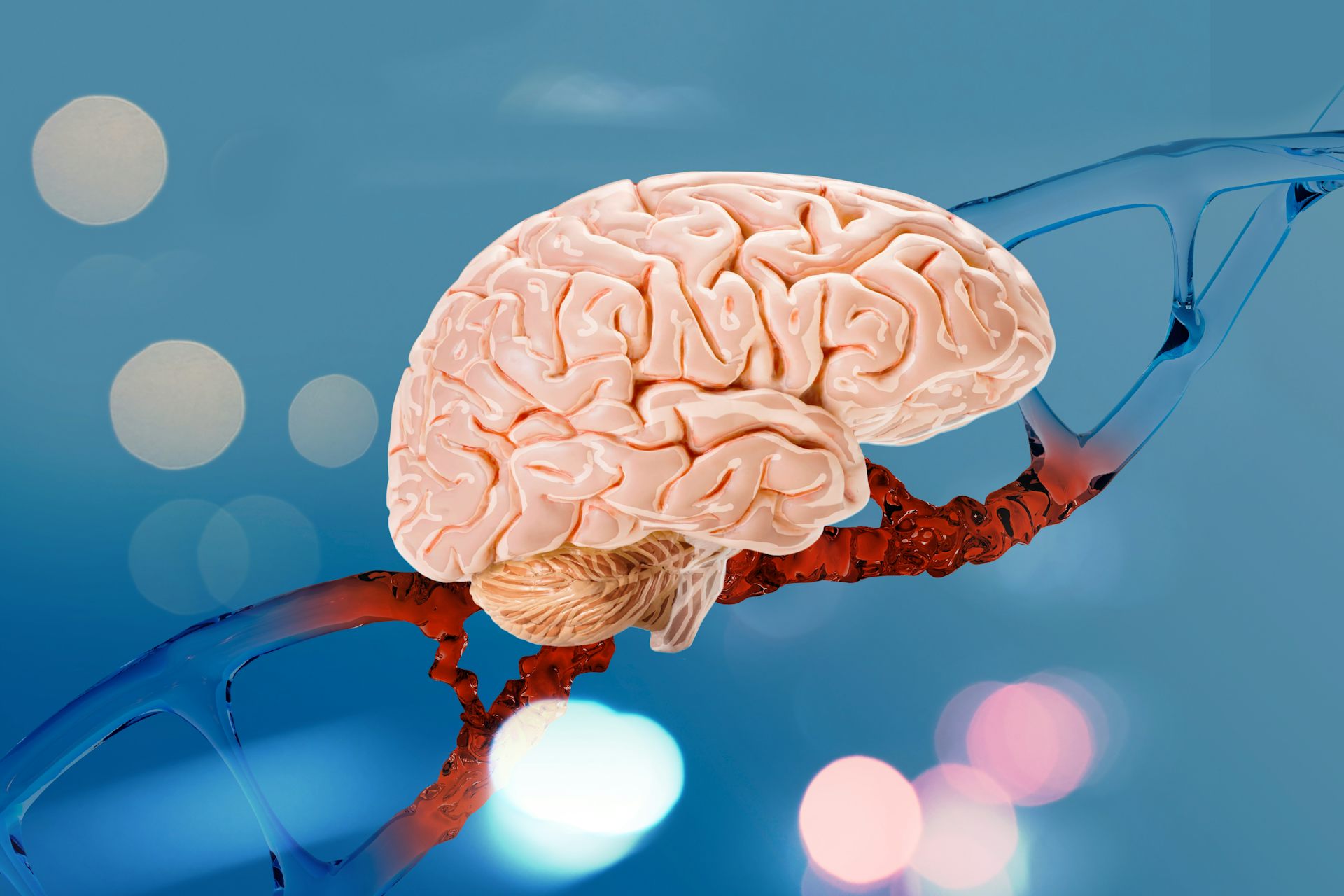 Illustration d'un verveau devant une molécule d'ADN.