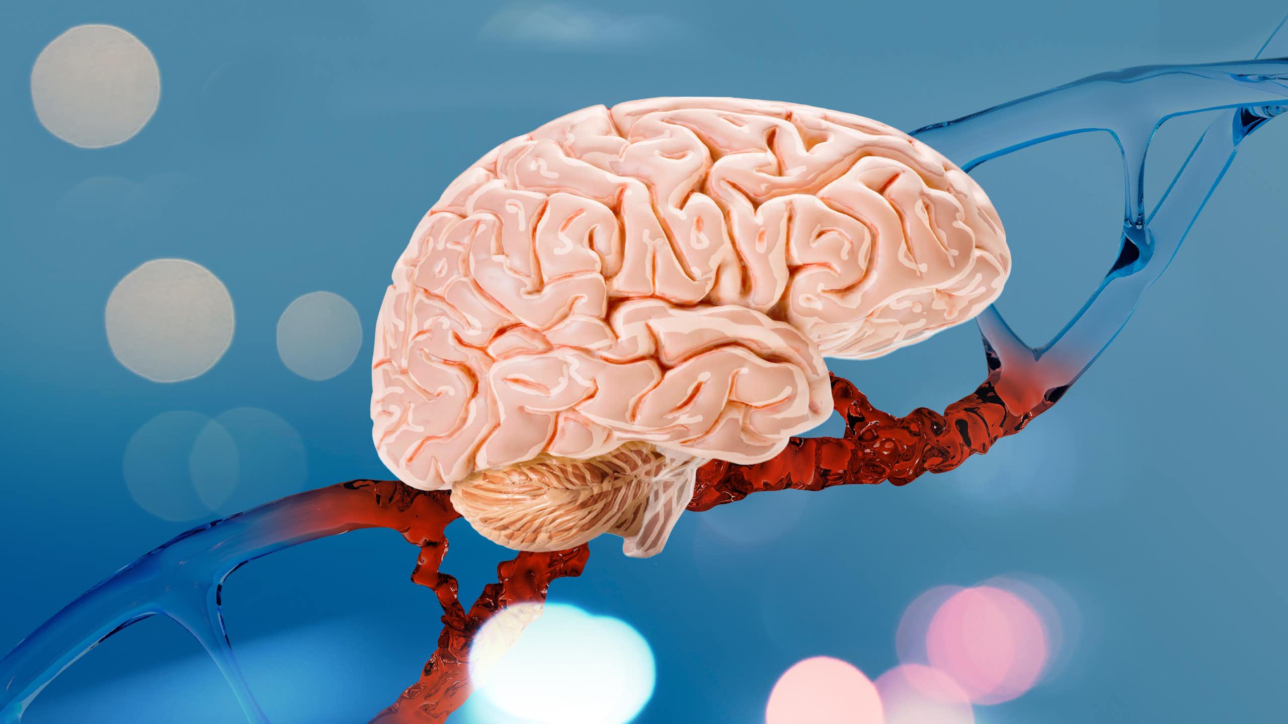 Illustration d'un verveau devant une molécule d'ADN.