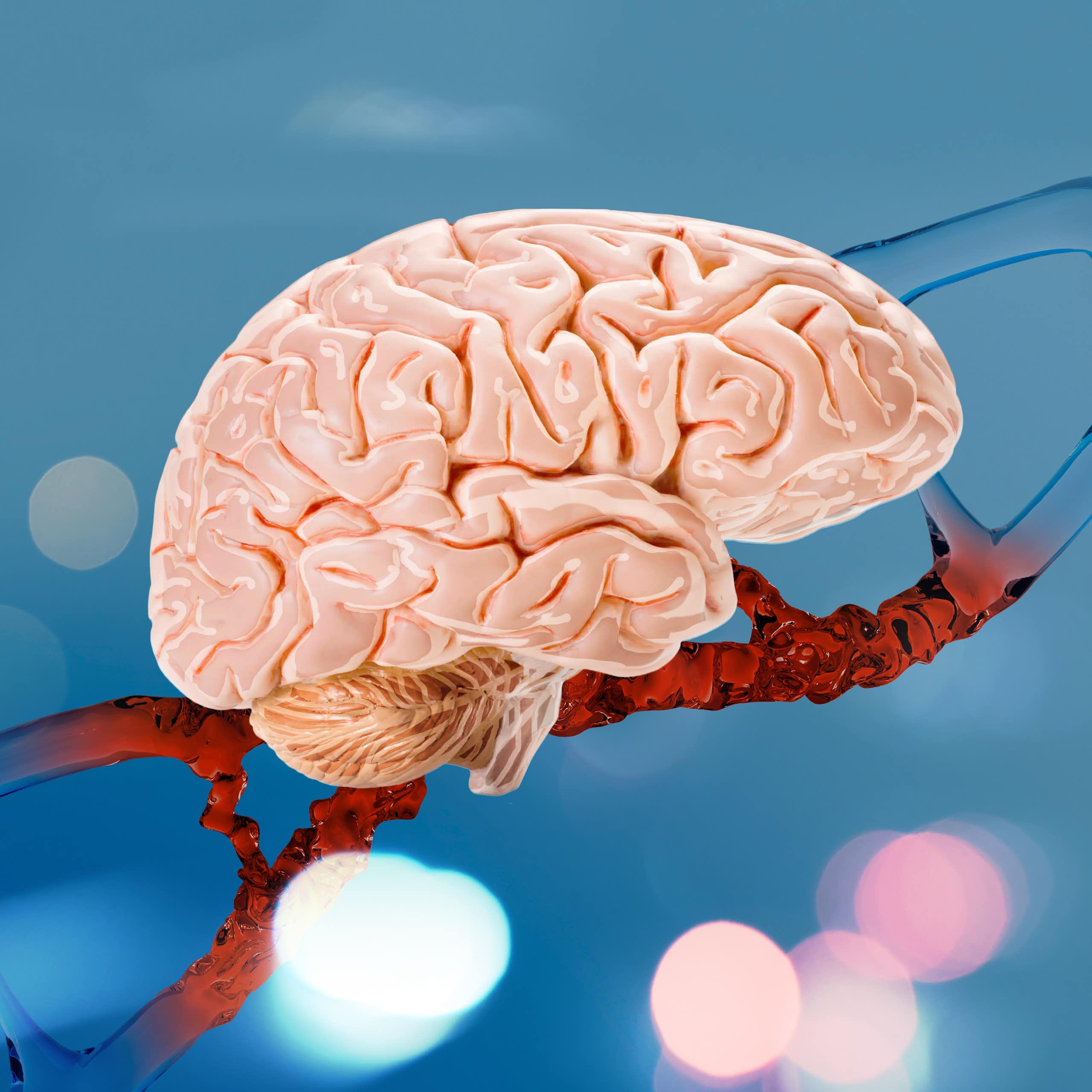 Illustration d'un verveau devant une molécule d'ADN.