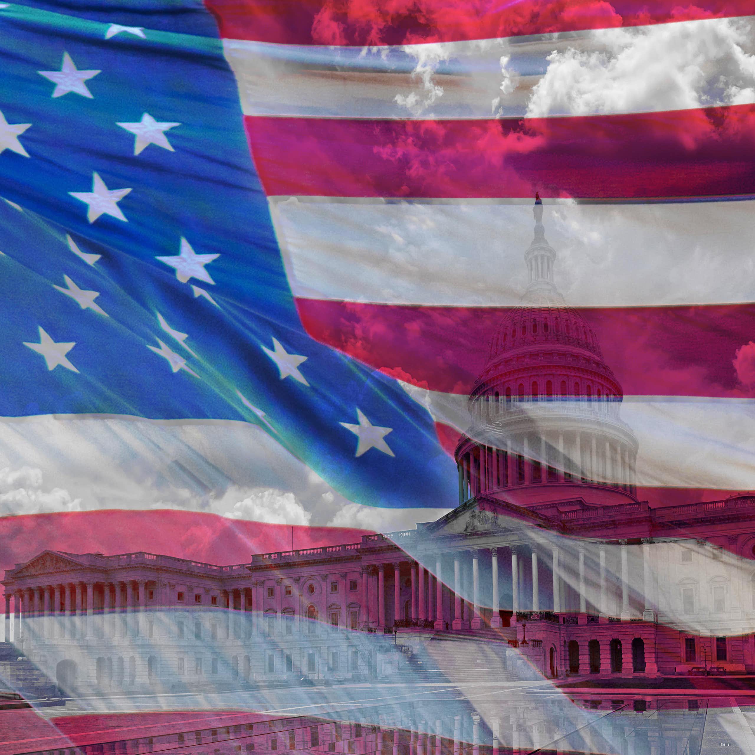 An American flag, blowing in the wind, with Congress somewhat obscured behind it.