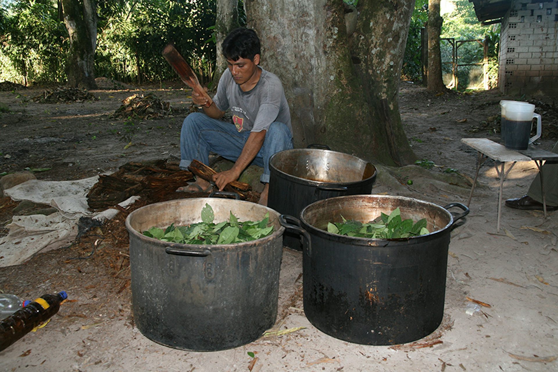 file 20251030 56 sdmrxr.jpg?ixlib=rb 4.1