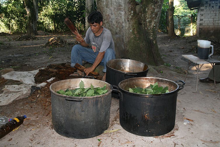 A psychedelic excursion of Earth’s ecosystems – from the wasteland to Siberia 1 file 20251030 56 sdmrxr.jpg?ixlib=rb 4.1