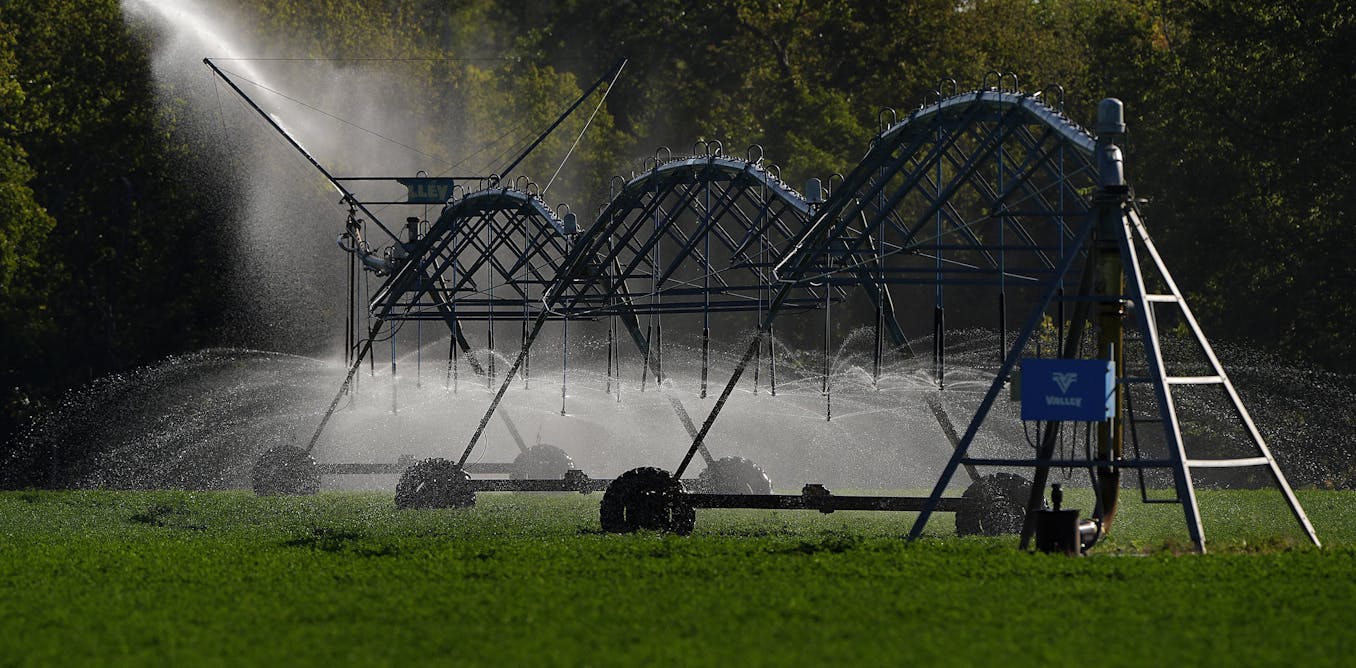 2 ways you can conserve the water used to make your food 2 ways you can conserve the water used to make your food