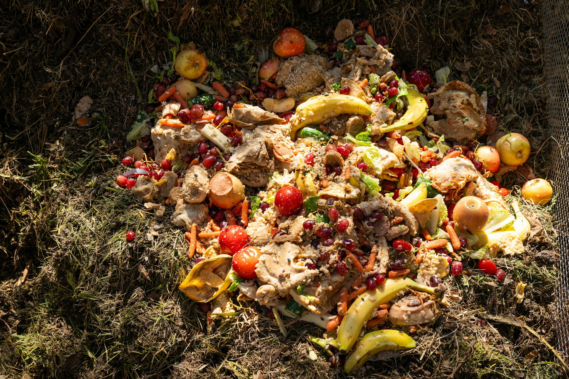 2 ways you can conserve the water used to make your food – The Conversation