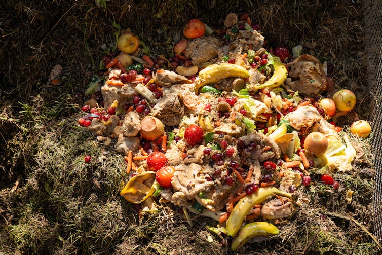 Discarded food and plant waste sits in a pile.