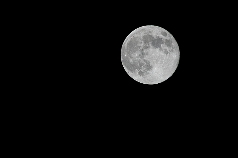 A beaver moon in a very black night sky