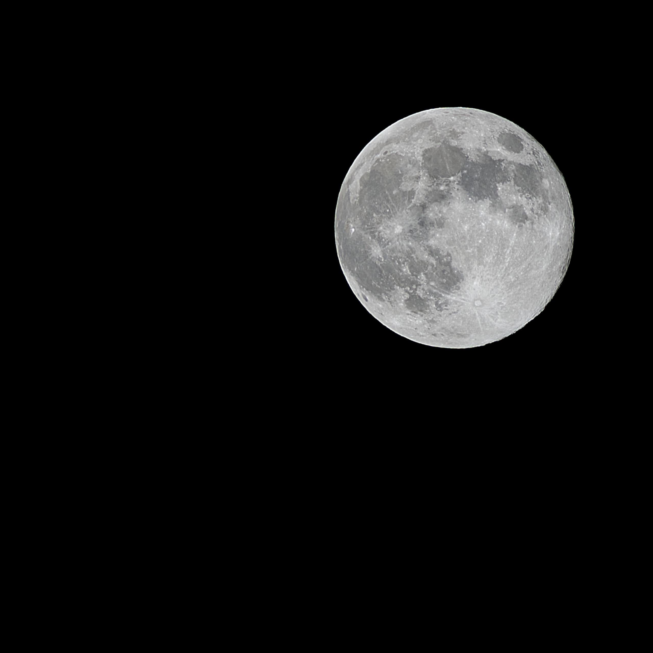 A beaver moon in a very black night sky