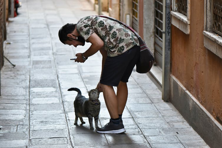 A man in a summer outfit on a street pats a friendly cat who is wearing a collar.