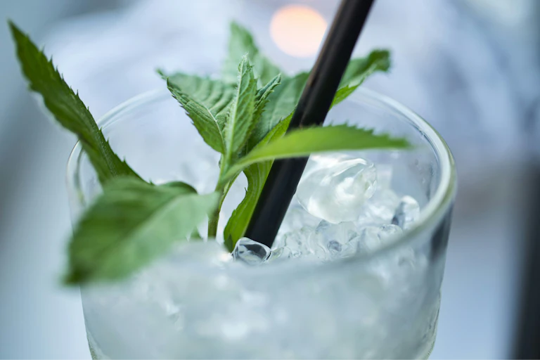 Close-up of a glass of water with mint and ice.
