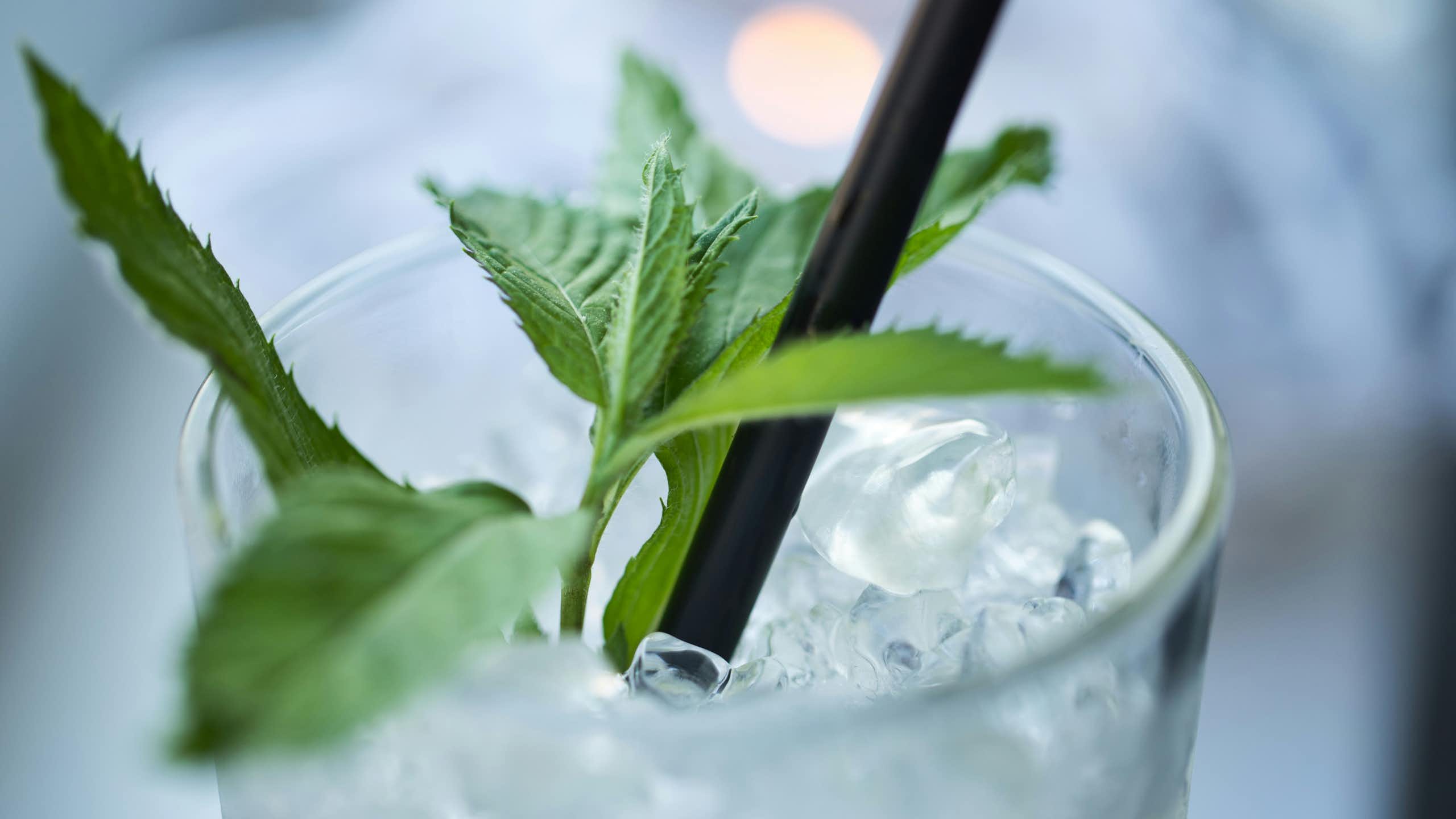 Close-up of a glass of water with mint and ice.