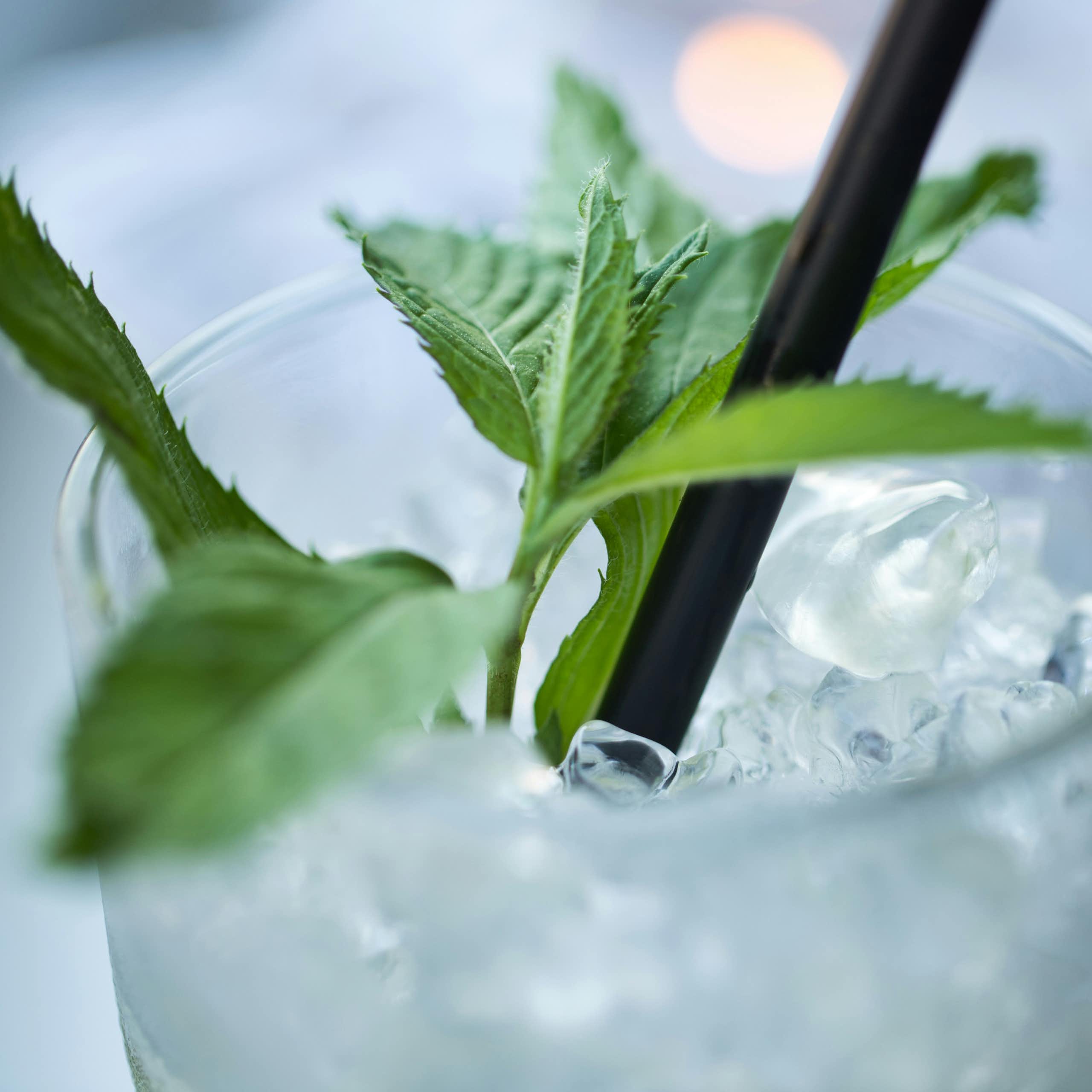 Close-up of a glass of water with mint and ice.