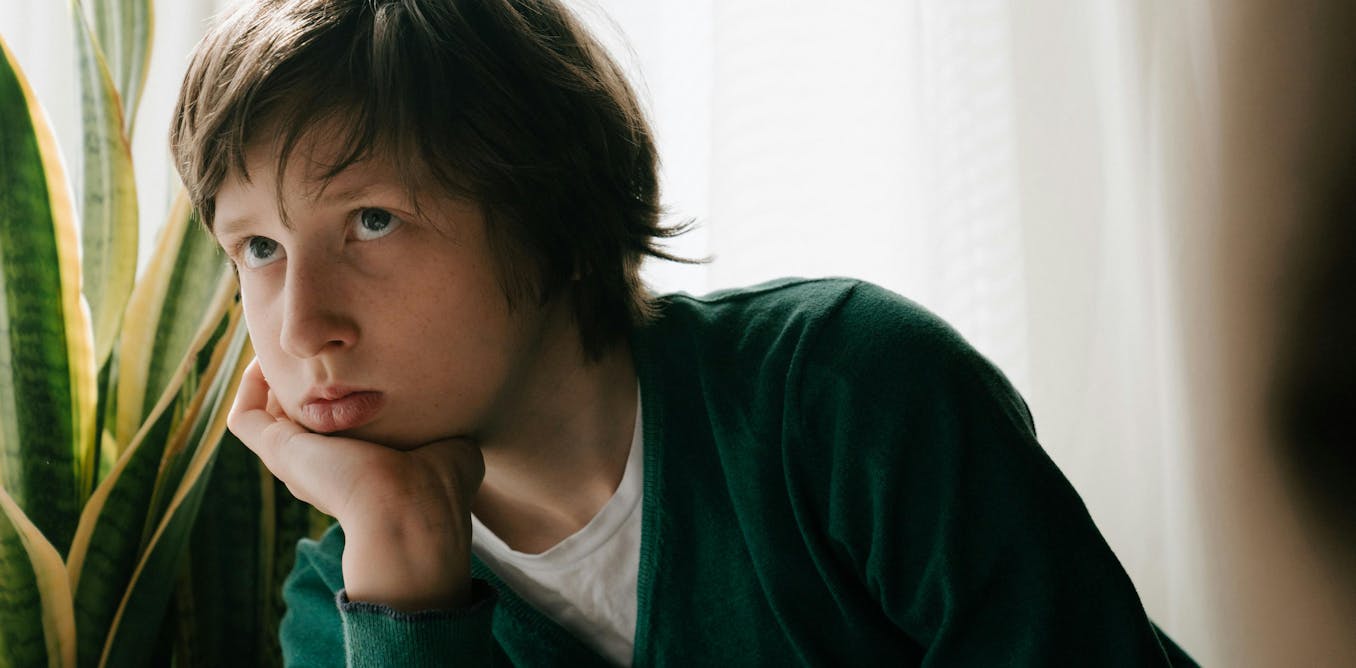 Don’t dismiss kids’ sadness or anger. How to minimise family conflict over the social media ban Don’t dismiss kids’ sadness or anger. How to minimise family conflict over the social media ban