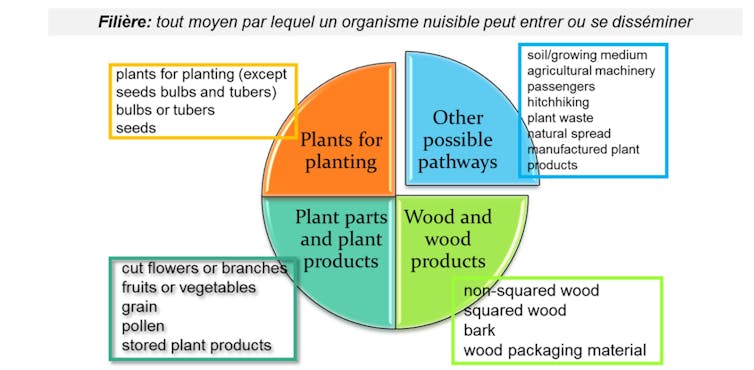 Why you should not carry crops again after a travel 1 file 20251103 66 6e4t3a.jpg?ixlib=rb 4.1