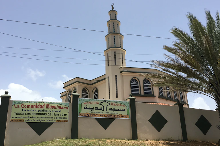 A tall, beige building with a minaret stands behind a wall and a palm tree.
