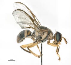 Why you should not carry crops again after a travel 3 file 20251103 66 v4345o.jpg?ixlib=rb 4.1