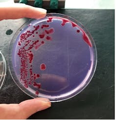 Why you should not carry crops again after a travel 5 file 20251103 61 eqgtoc.jpg?ixlib=rb 4.1