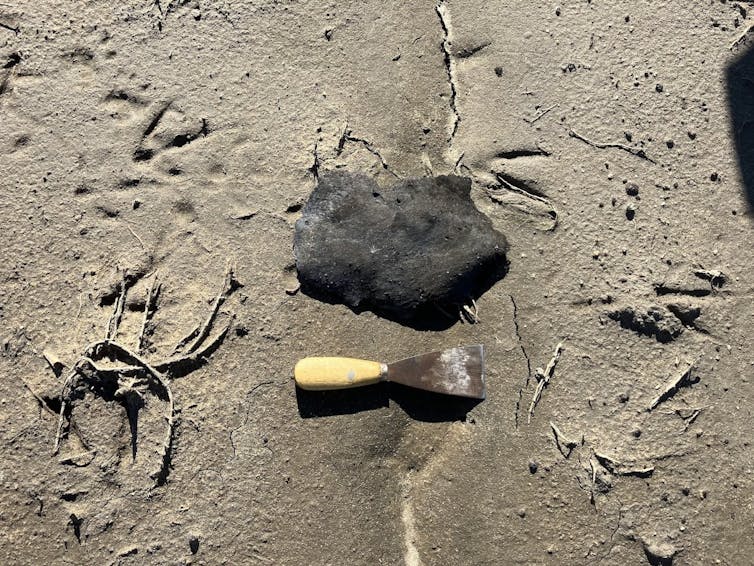 A large charred piece of material with a putty knife to show the size.