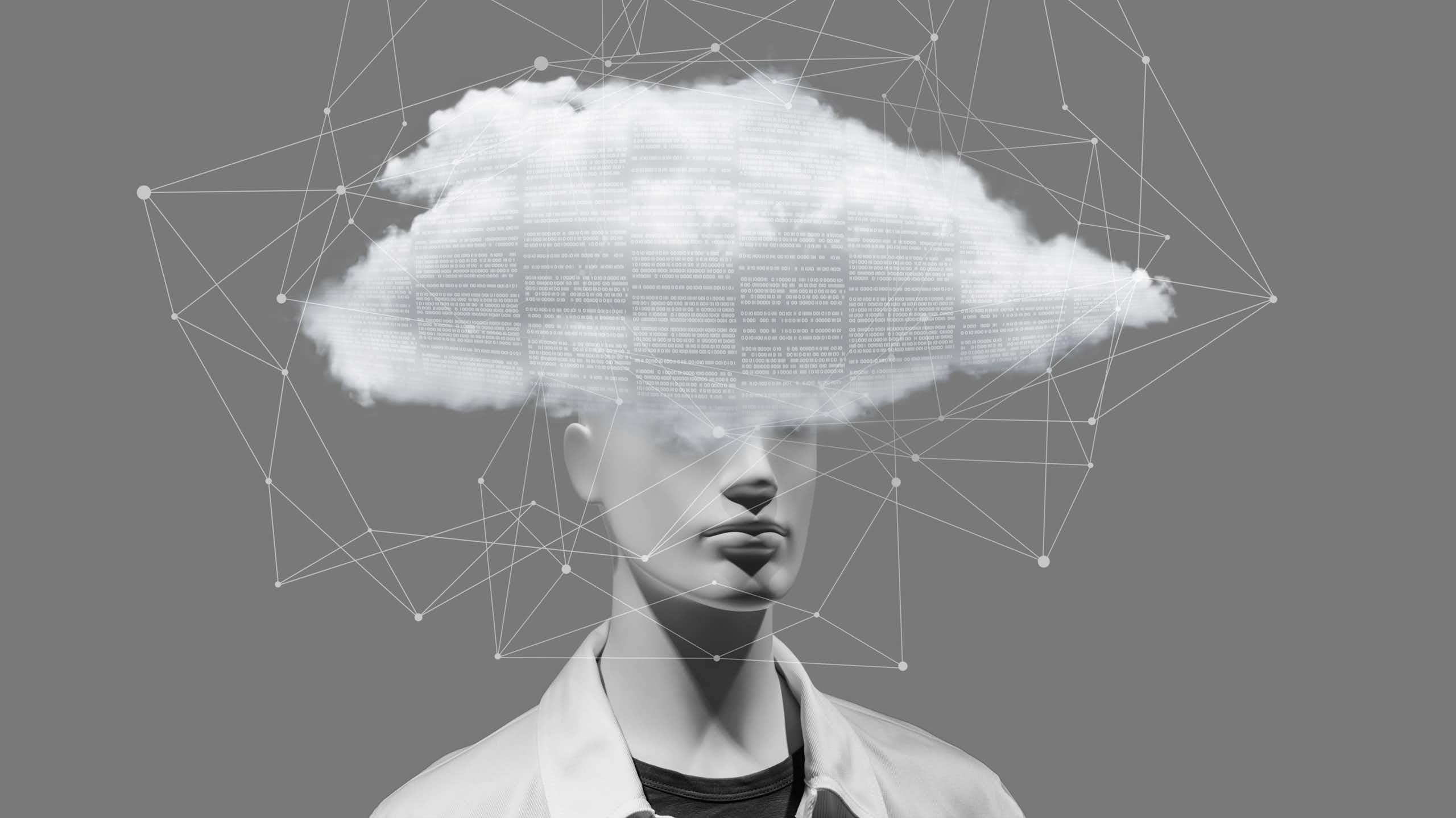 La selección: metáforas que nos confunden