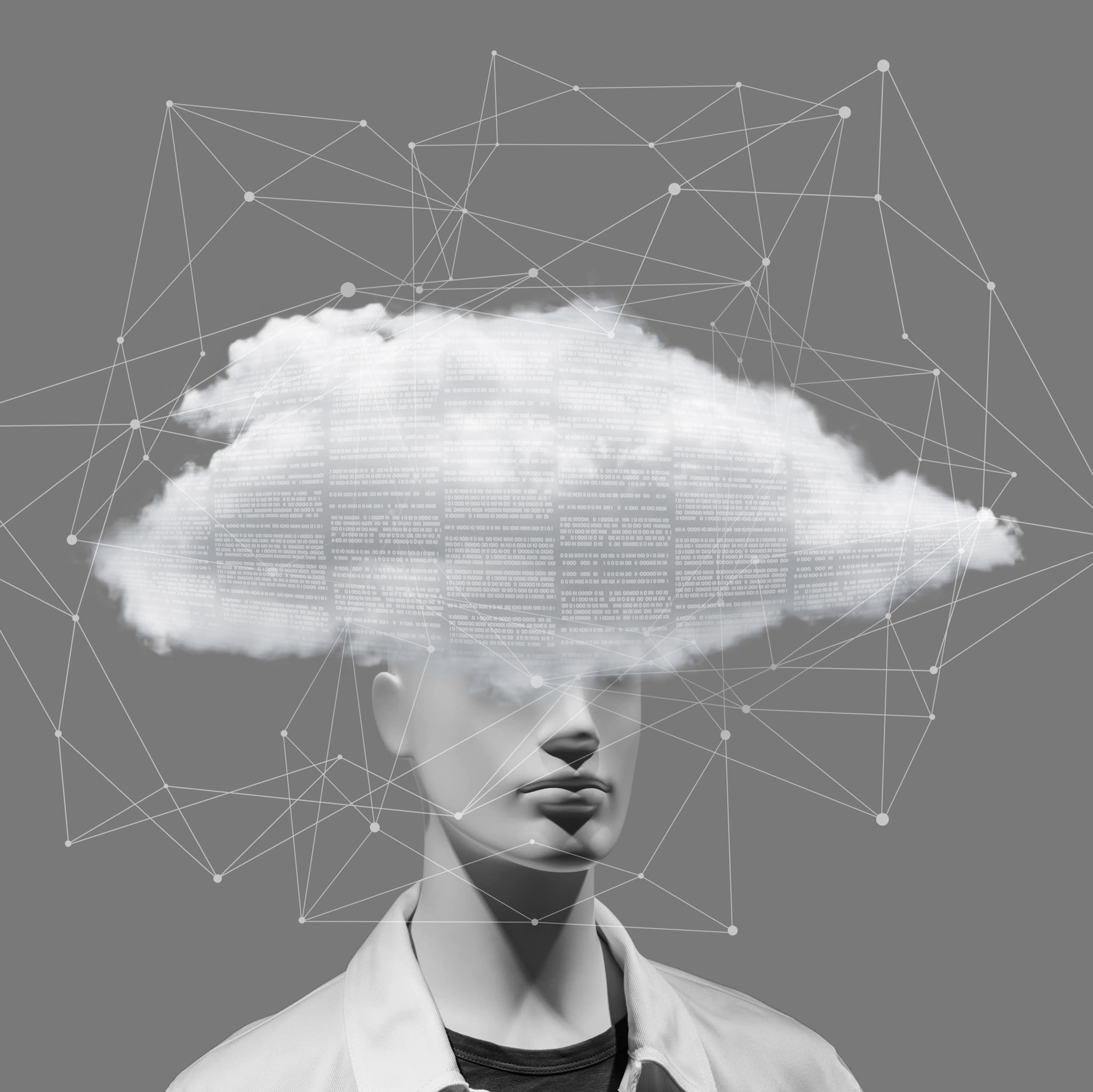 La selección: metáforas que nos confunden