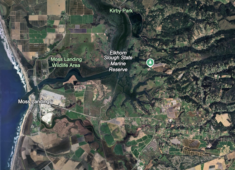 When the sector’s greatest battery energy plant stuck hearth, poisonous metals rained down – wetlands captured the fallout 1 A satellite image of the area where the fire was, surrounded by farm fields and marshes.