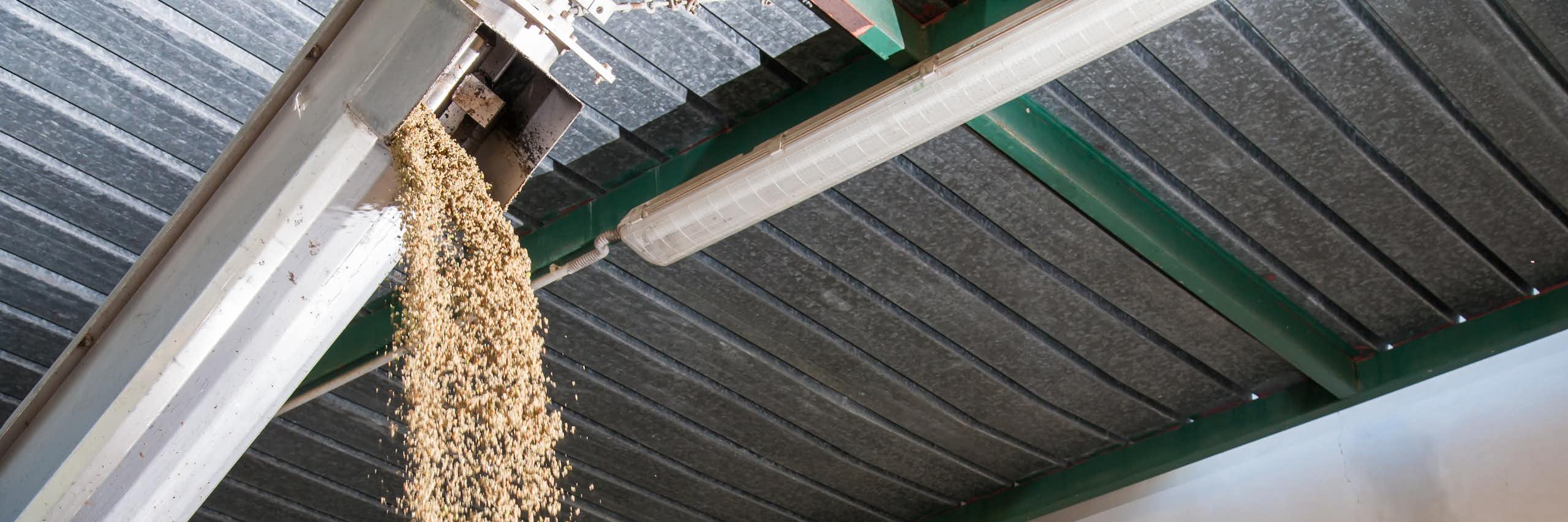 Residuos de la producción de aceite de oliva caen formando un montón