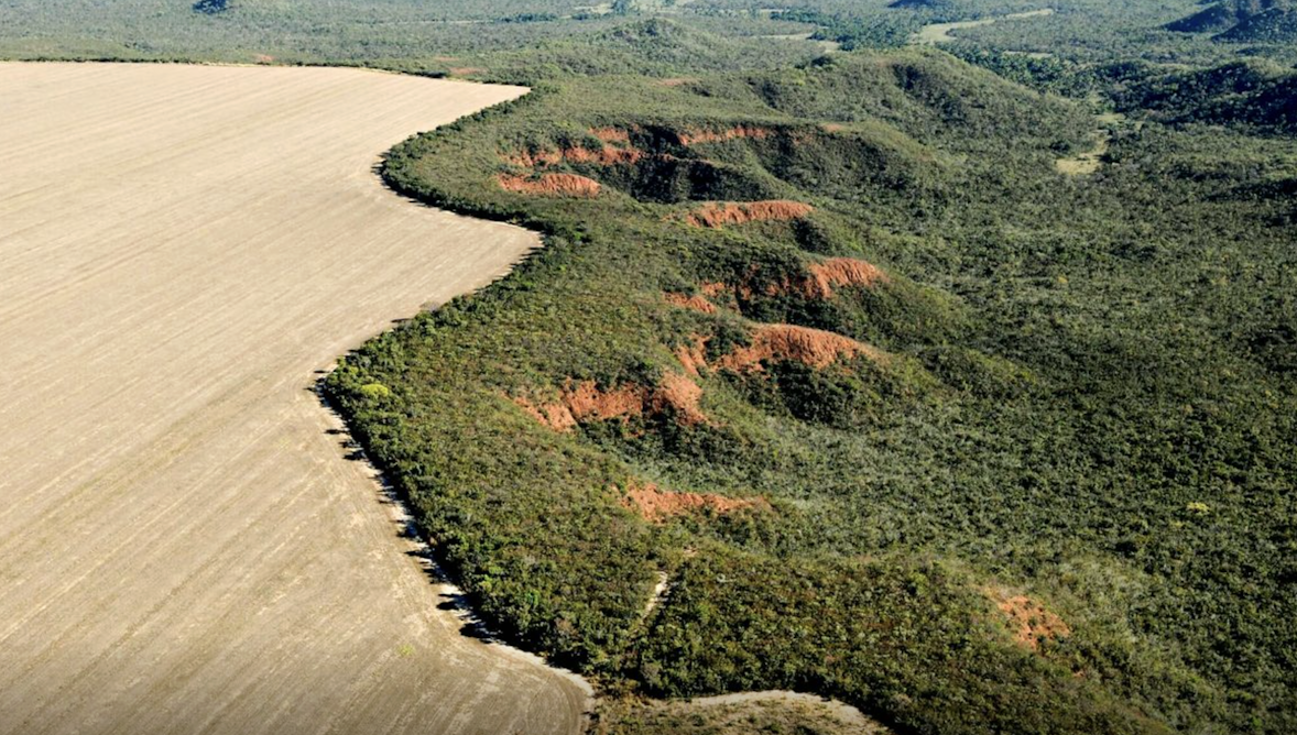 theconversation.com - Karina Kato - Between 'breadbasket of the world' and 'guardian of the Amazon', Brazil remains unable to solve its environmental dilemma
