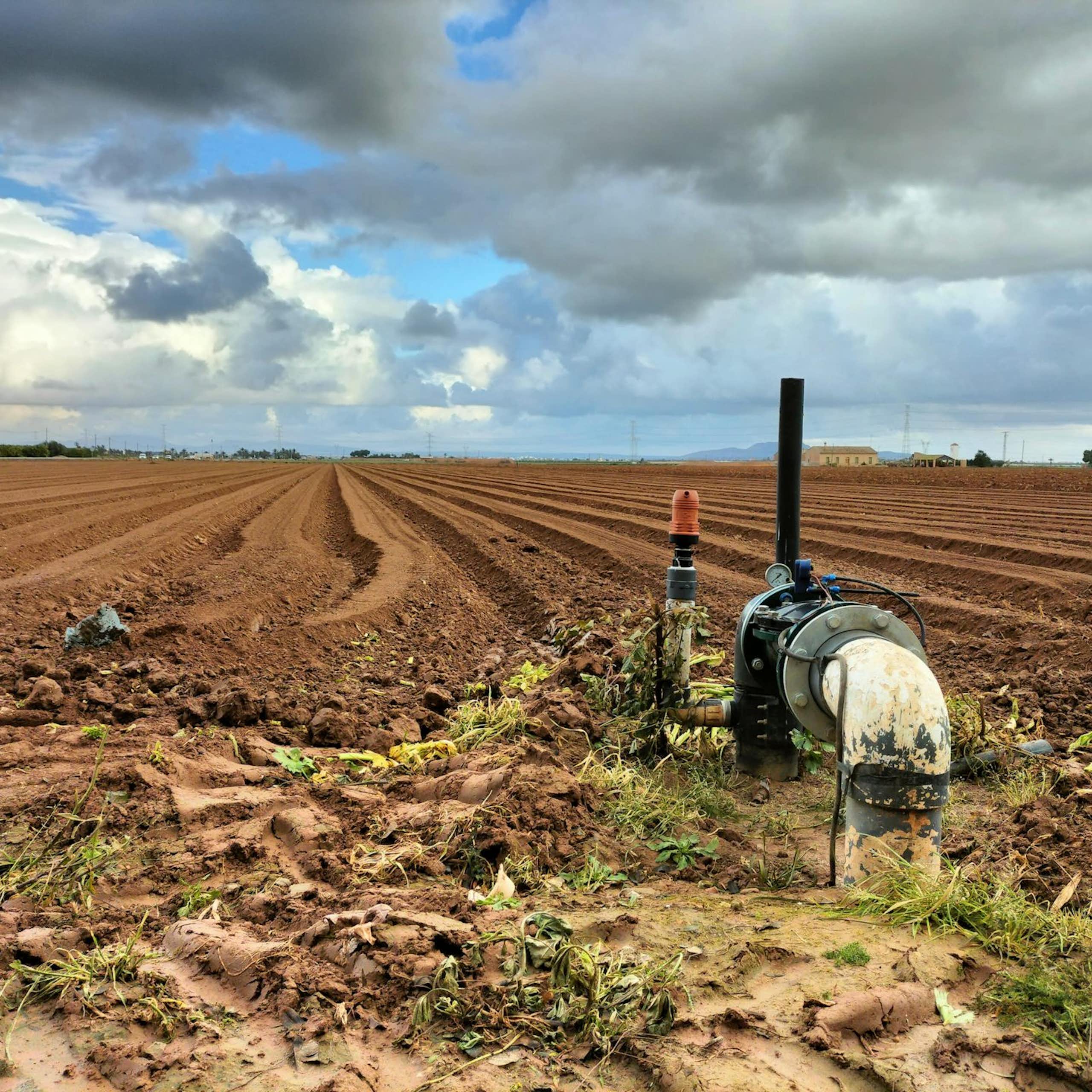 Paisaje que muestra un campo agrícola sin plantas todavía y una tubería para el regadío