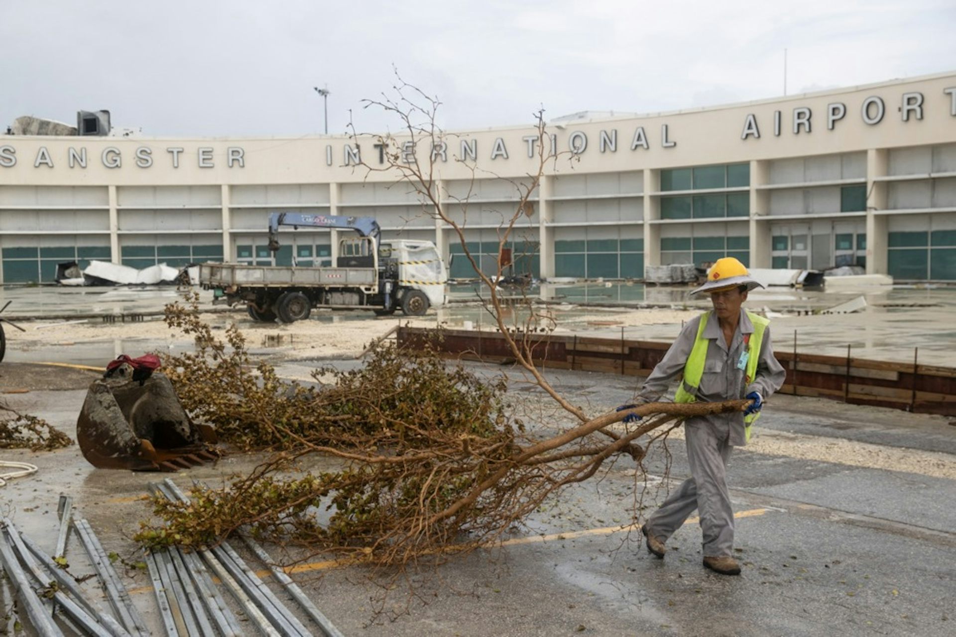 Man carries large branch outside airport