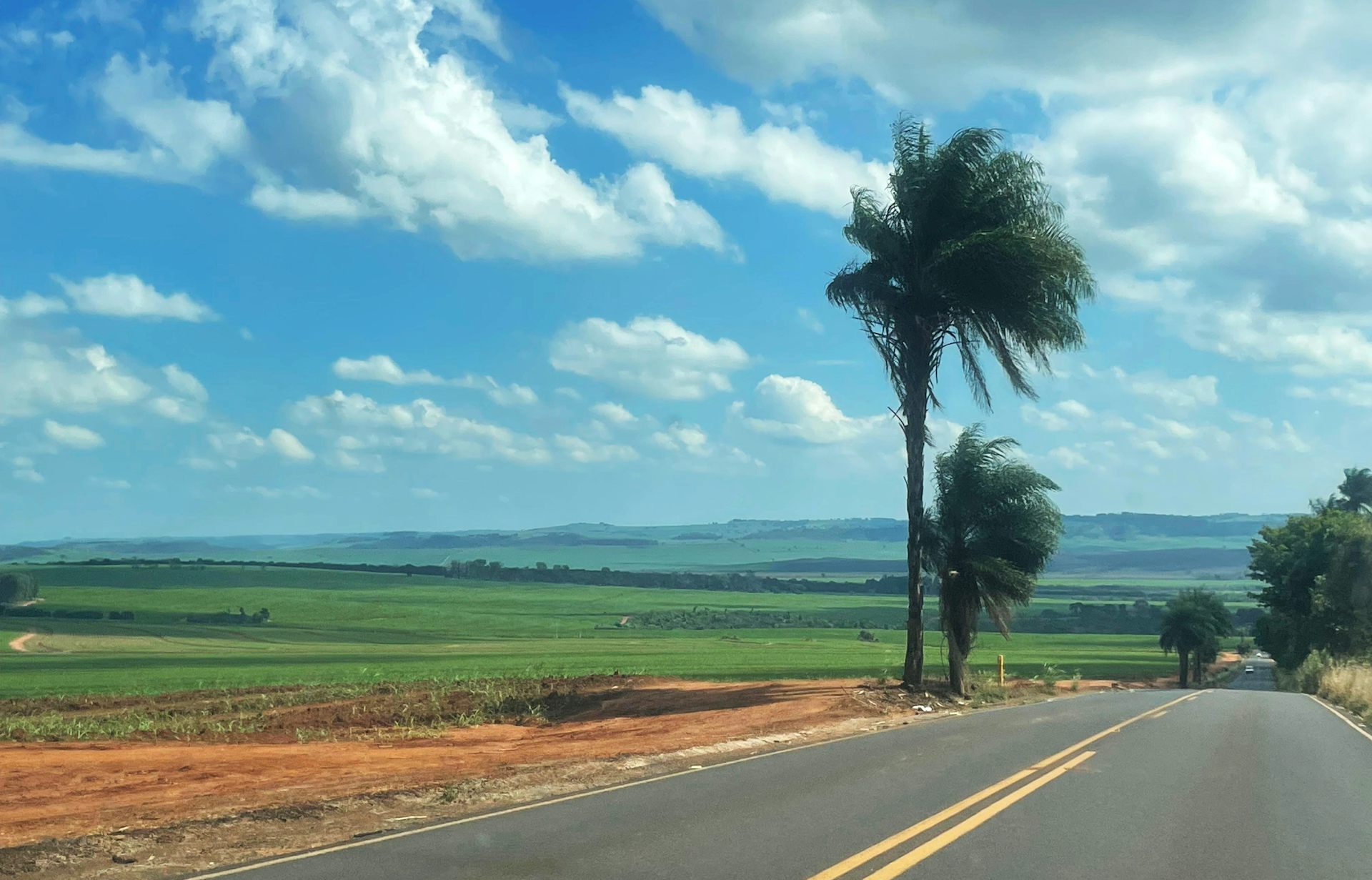 how land-use choices affect biodiversity and the global climate