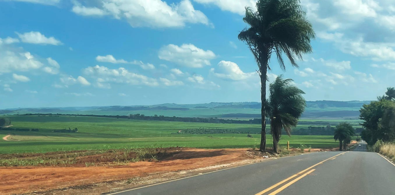 how land-use choices affect biodiversity and the global climate how land-use choices affect biodiversity and the global climate