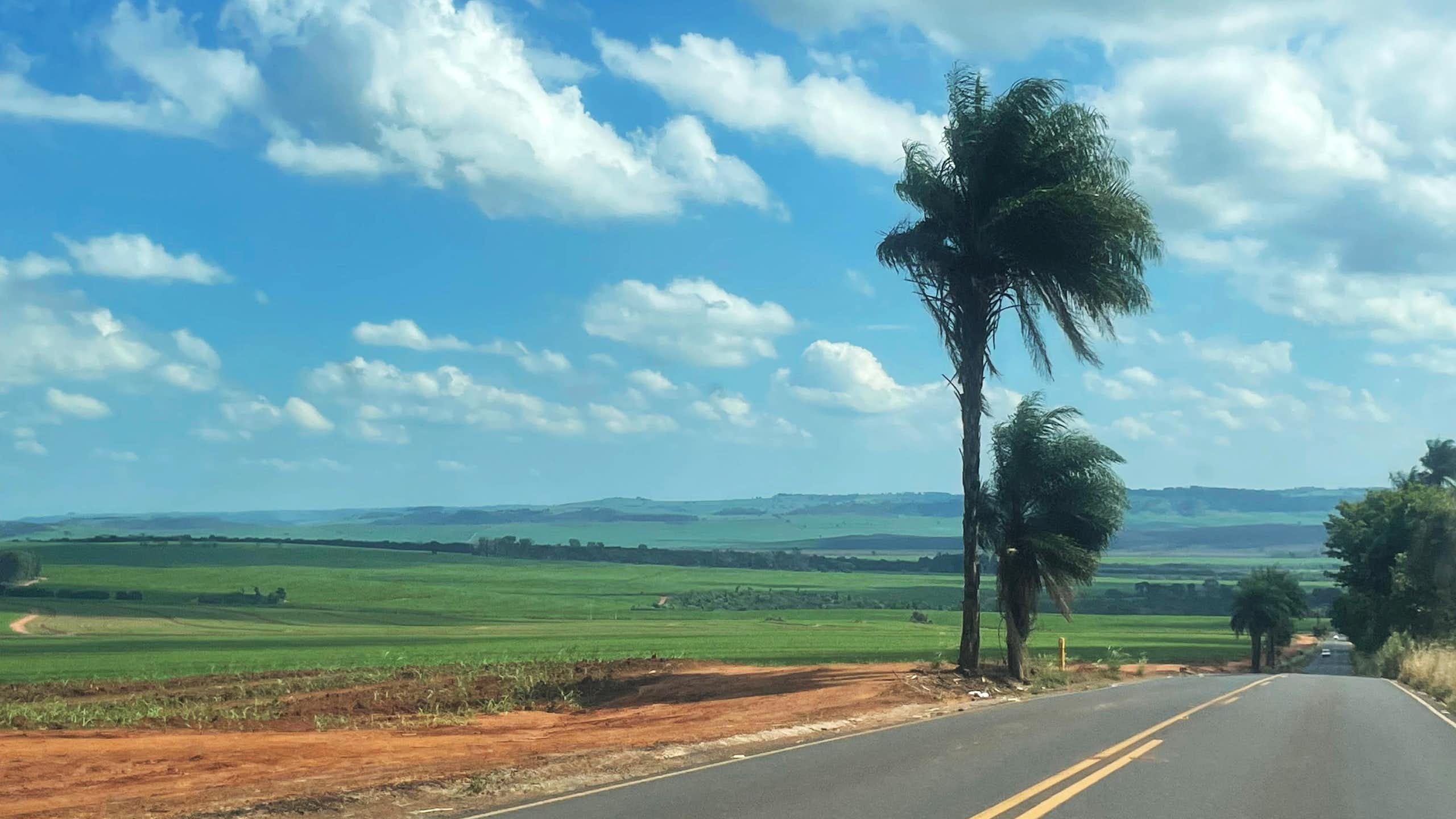 A strip of brown field is seen next to a vast green field, next to a paved two-way road, under a blue sky with white clouds.
